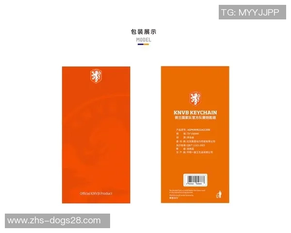 荷兰足球男队的辉煌历史与未来展望：从橙色军团到世界舞台的传奇之旅