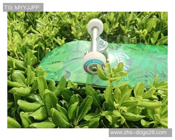 科学滑板耐力训练全攻略提升滑板技巧与体能的有效方法