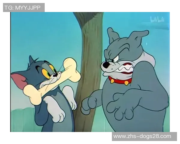 足球猫与老鼠的奇妙冒险赛场上的友谊与竞争交织的故事 足球猫与老鼠的奇妙冒险赛场上的友谊与竞争交织的故事